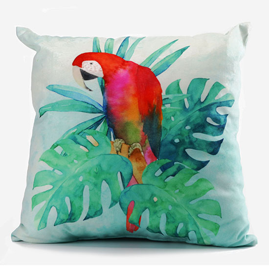 Digital Printing Cushion